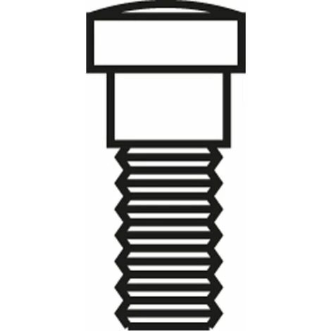 HAUSMARKE Spannschraube M5 X 13 Mm VPE: 10 1 HAUSMARKE Spannschraube M5 X 13 Mm VPE: 10