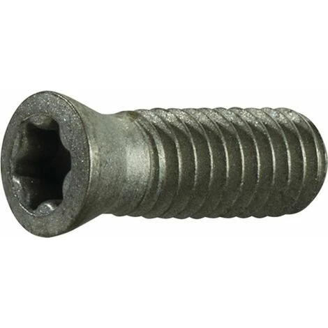 PROMAT Spannschraube (Größe T15 / Für Plattengröße LNGJ 1205.. / Inhalt: 10 Stück) - 4000858747 1 PROMAT Spannschraube (Größe T15 / Für Plattengröße LNGJ 1205.. / Inhalt: 10 Stück) - 4000858747